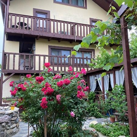 Отель Casa Donau Delta Сулина Экстерьер фото
