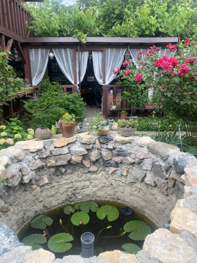 Отель Casa Donau Delta Сулина Экстерьер фото